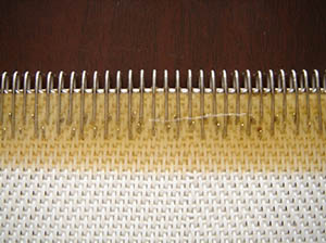 �������;W(w��ng)