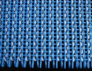 �������;W(w��ng)