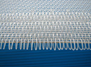 �������;W(w��ng)